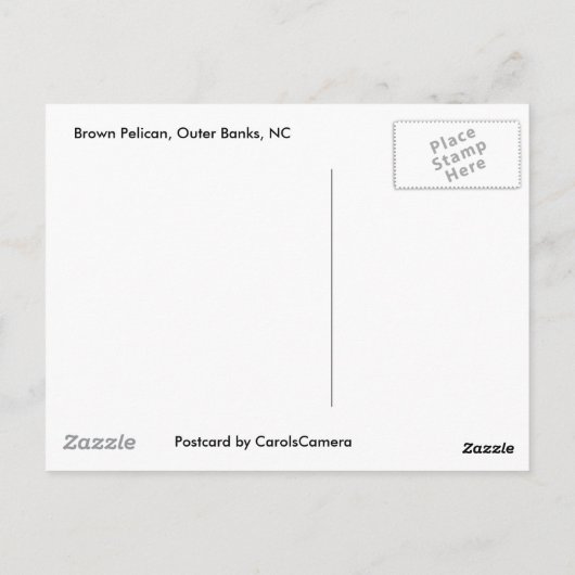 Brown Pelican OBX Postkarte (Rückseite)