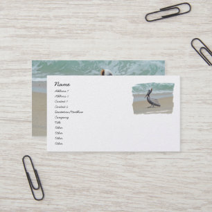 Brown Pelican on Beach Business Card Visitenkarte