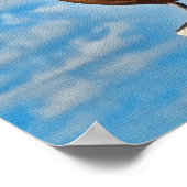 Brown Pelican on Post Poster oder Print (Ecke)