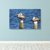Brown Pelican Pair Roosting auf Posts Canvas Print Leinwanddruck (Insitu (Holzboden))