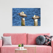 Brown Pelican Pair Roosting auf Posts Canvas Print Leinwanddruck (Insitu (Wohnzimmer))