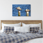 Brown Pelican Pair Roosting auf Posts Canvas Print Leinwanddruck (Insitu (Schlafzimmer))
