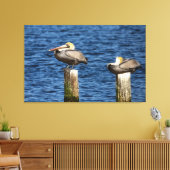 Brown Pelican Pair Roosting auf Posts Leinwanddruck (Insitu (Wohnzimmer))