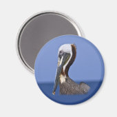 Brown Pelican Portrait Magnet (Vorderseite/Rückseite)