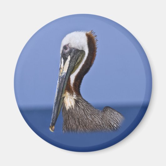 Brown Pelican Portrait Magnet (Vorne)