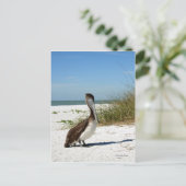 Brown Pelican Postcard Postkarte (Stehend Vorderseite)