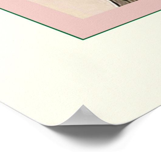 Brown Pelican Poster (Ecke)