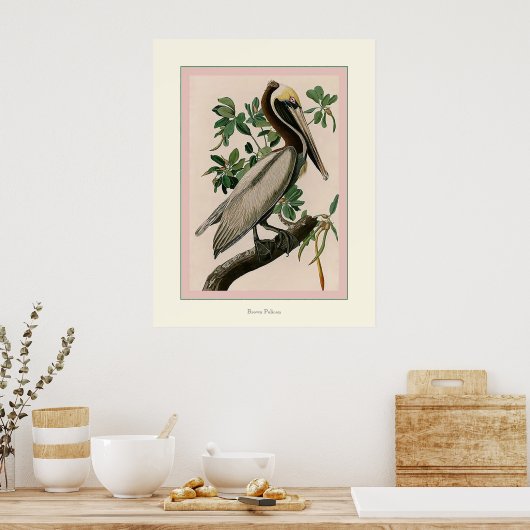 Brown Pelican Poster (Küche)