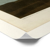 Brown Pelican Poster (Ecke)