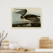 Brown Pelican Poster (Küche)