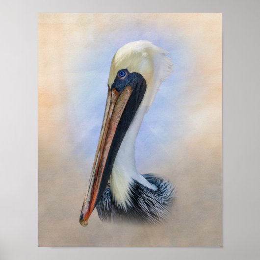 Brown Pelican Poster (Vorne)