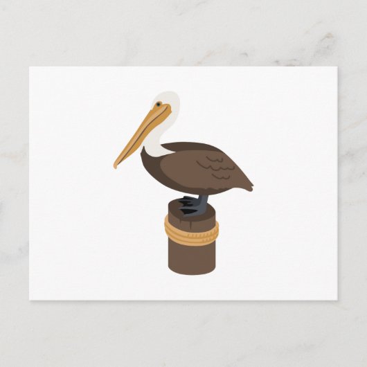 Brown Pelican Postkarte (Vorderseite)