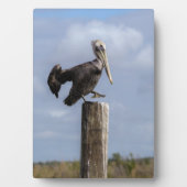 Brown Pelican Puzzle Fotoplatte (Vorderseite)