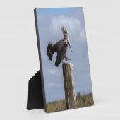 Brown Pelican Puzzle Fotoplatte (Seite)