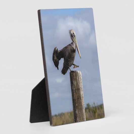 Brown Pelican Puzzle Fotoplatte (Seite)