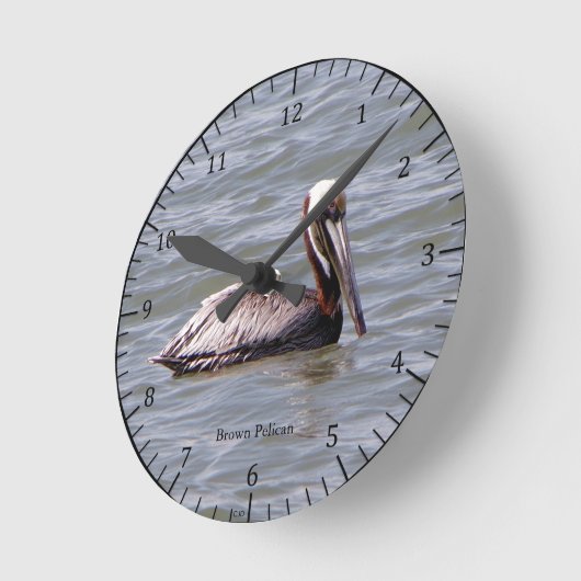 Brown Pelican Uhr (Winkel)