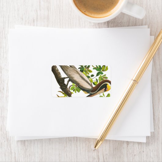 Brown Pelican von John James Audubon Adressaufkleber (Insitu)