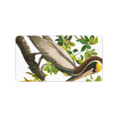 Brown Pelican von John James Audubon Adressaufkleber (Vorne)