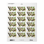 Brown Pelican von John James Audubon Adressaufkleber (Vorne)