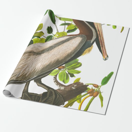 Brown Pelican von John James Audubon Geschenkpapier (Ungerollt)