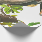 Brown Pelican von John James Audubon Geschenkpapier (Ecke)