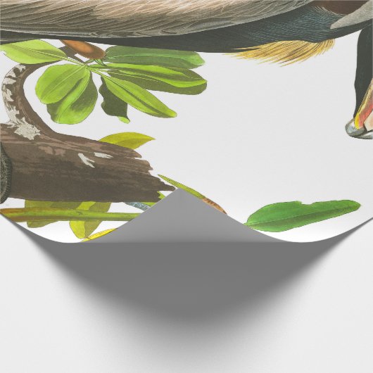 Brown Pelican von John James Audubon Geschenkpapier (Ecke)