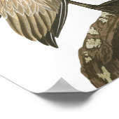 Brown Pelican von John James Audubon Poster (Ecke)