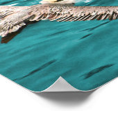 BROWN PELICAN WIND RIDER POSTER (Ecke)