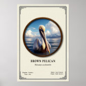 Brown Pelican Zoology Series Poster (Vorne)
