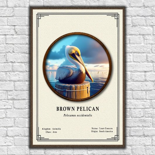 Brown Pelican Zoology Series Poster