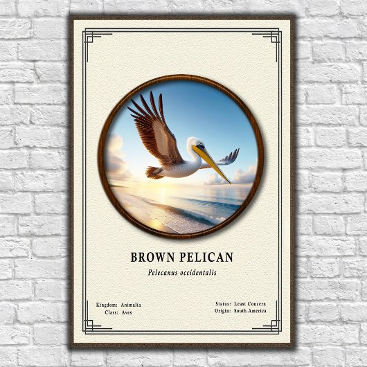 Brown Pelican Zoology Series Poster