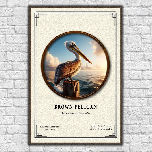 Brown Pelican Zoology Series Poster