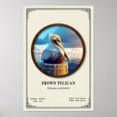 Brown Pelican Zoology Series Poster (Vorne)