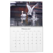 Brown Pelicans Kalender (Feb 2027)