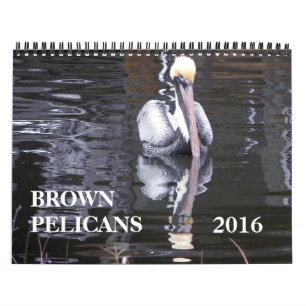 Brown Pelicans Kalender