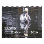 Brown Pelicans Kalender (Titelbild)