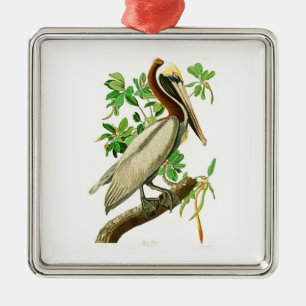 Brown-Pelikan-John James Audubon-Vögel von Amerik Ornament Aus Metall