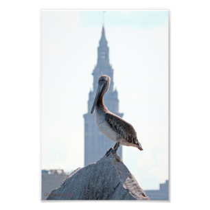 Brown-Pelikan mit Terminalturm in Cleveland Fotodruck