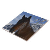 Brown-Pferd im Winter Fliese (Seite)