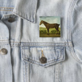 Brown-Pferd in einer hügeligen Landschaft, Button (Beispiel)