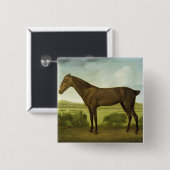 Brown-Pferd in einer hügeligen Landschaft, Button (Vorne & Hinten)