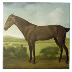 Brown-Pferd in einer hügeligen Landschaft, Fliese