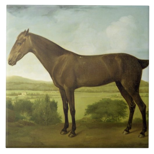 Brown-Pferd in einer hügeligen Landschaft, Fliese (Vorderseite)