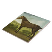 Brown-Pferd in einer hügeligen Landschaft, Fliese (Seite)