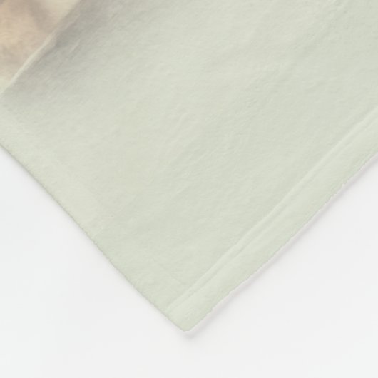 Brown-Pferd mit dem Halter Fleecedecke (Ecke)