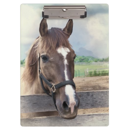 Brown-Pferd mit dem Halter Klemmbrett (Vorderseite)