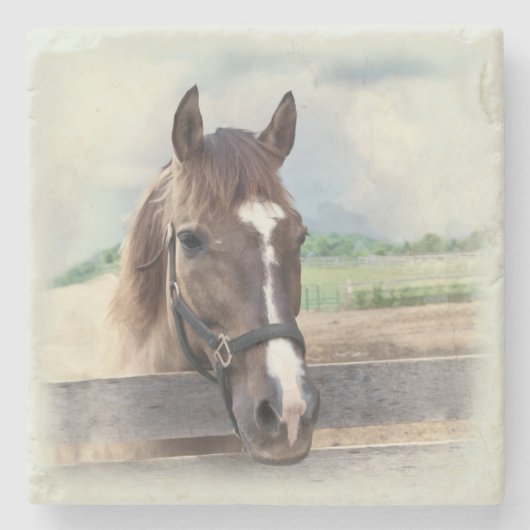 Brown-Pferd mit dem Halter Steinuntersetzer (Vorderseite)