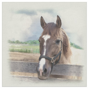 Brown-Pferd mit dem Halter Stoff