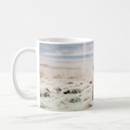 BROWN PFERDE AUF GRASS IN DER NÄHE DES STRANDES KAFFEETASSE (Links)