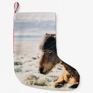 BROWN PFERDE AUF GRASS IN DER NÄHE DES STRANDES KLEINER WEIHNACHTSSTRUMPF